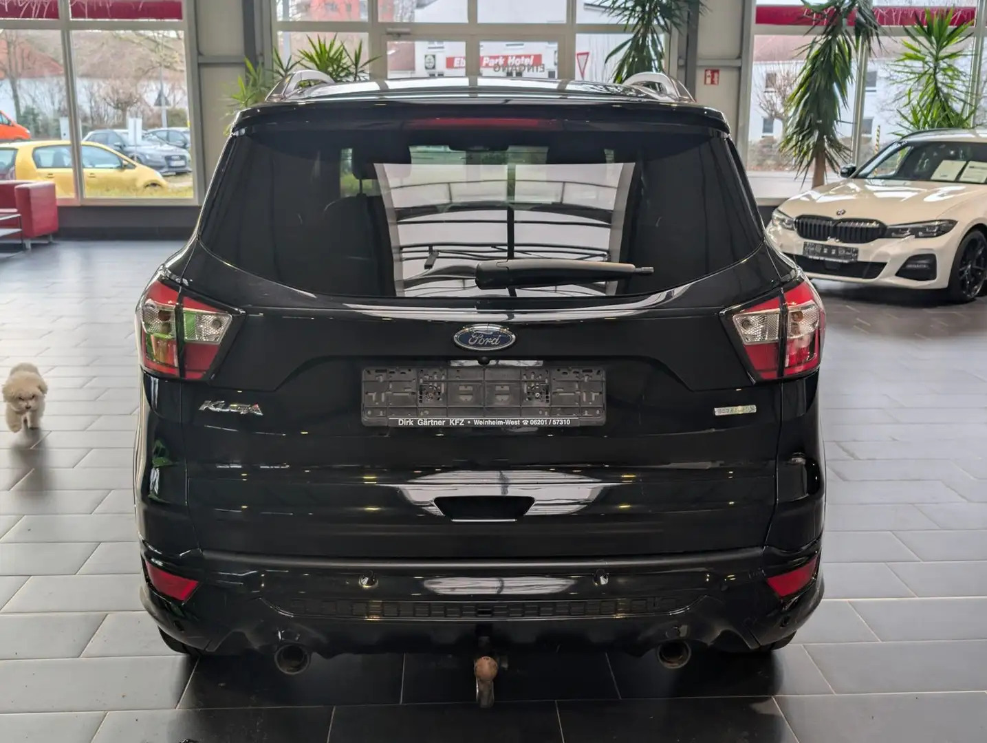 Ford Kuga 2019 — ззаду прямо